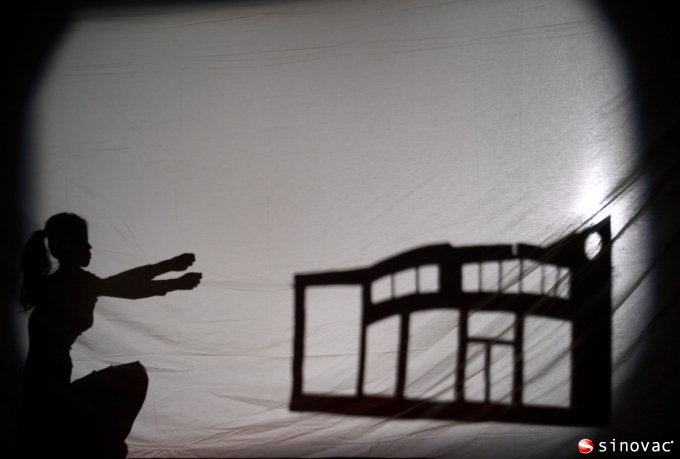 流感事业部人影戏《见证-金狮贵宾会的脚印》